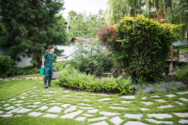 Best Ant Control Services  in Riverside, NY