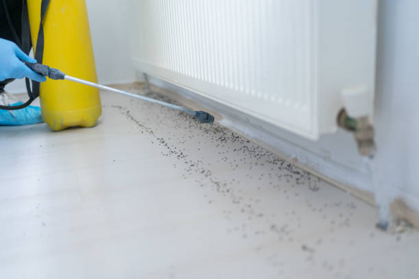 Best Best Pest Control Companies  in Riverside, NY
